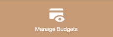 manage budgets app